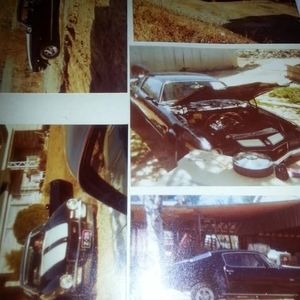 Meet your Posher, Rick